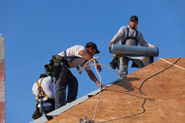 Best Metal Roofing Contractor  in San Angelo, TX